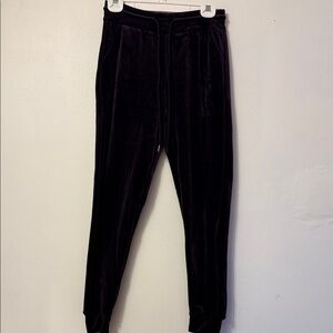 Women's morado Velour Joggers